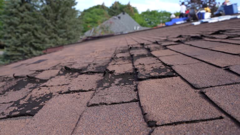 Best Roof Maintenance and Cleaning  in Joshua, TX