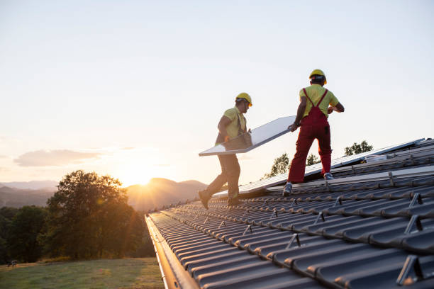Best Roof Moss and Algae Removal  in Joshua, TX