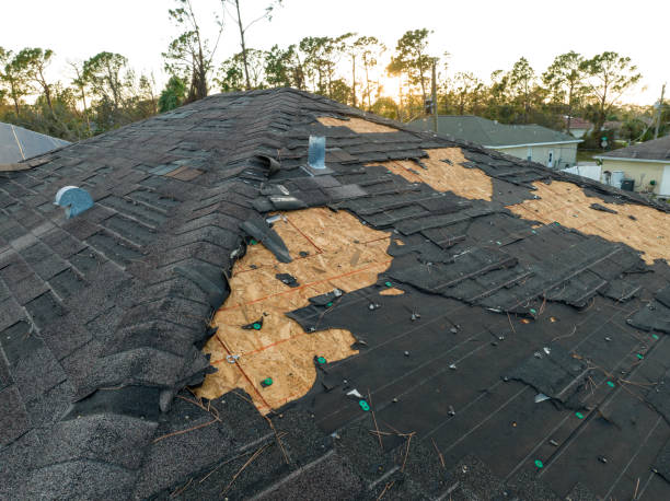 Best Asphalt Shingle Roofing  in Joshua, TX