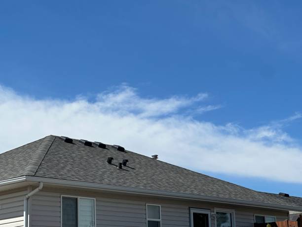Best Storm Damage Roof Repair  in Joshua, TX